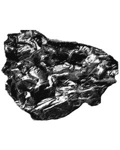 Charbon mélange Coke Anthracite 20/30 palette 1 tonne