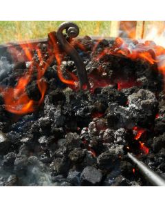 Charbon Houille pour Forge 30/50