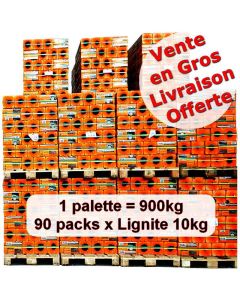Achat en gros briquettes lignite 10kg x 90 packs