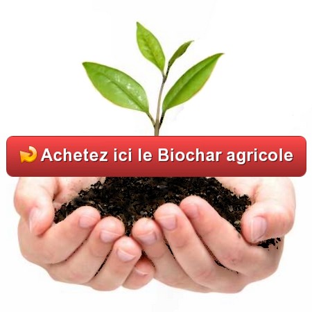 Biochar pour Agriculture