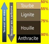 Lignite taux de carbone