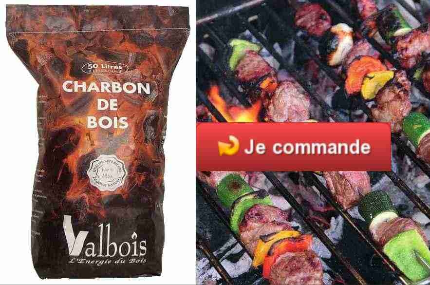 Charbon de bois épuré