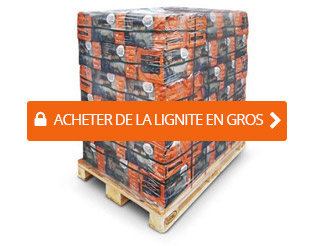 Briquettes de lignite UNION en sac (18 pièces), 10 kg